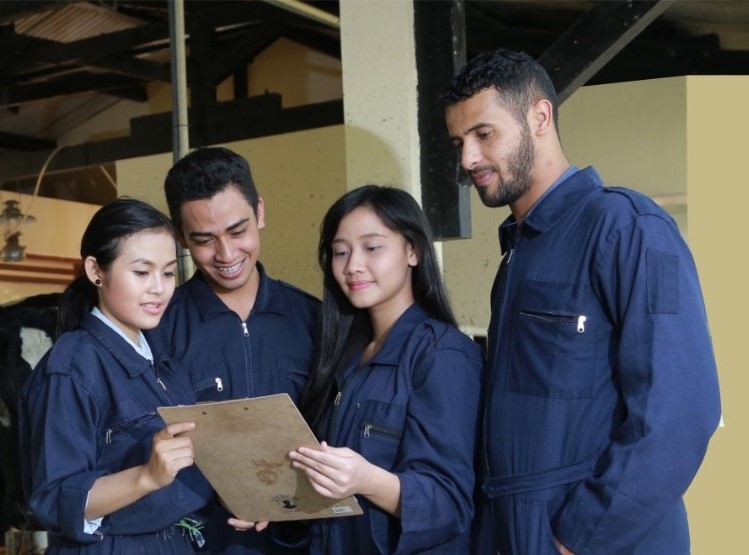 layanan akademik undip 2024